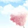 Cotton Candy Mt Baker Vapor Concentrate
