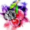 Forestberry Fusion Mt Baker Vapor Concentrate