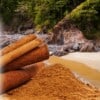 Horchata Mt Baker Vapor Concentrate